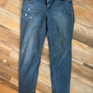 1822 Denim Classic Blue Skinny Jeans